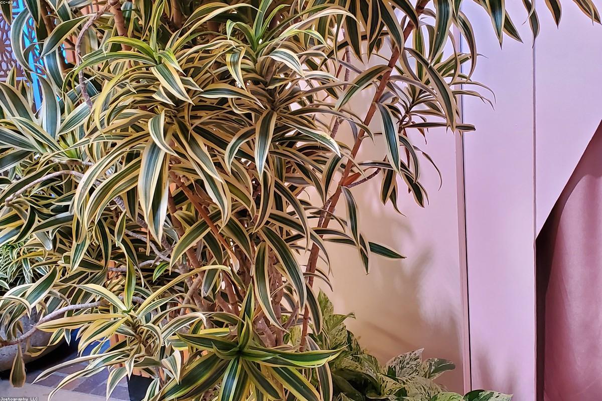 Terrasse composite avec garde-corps sur un jardin annécien